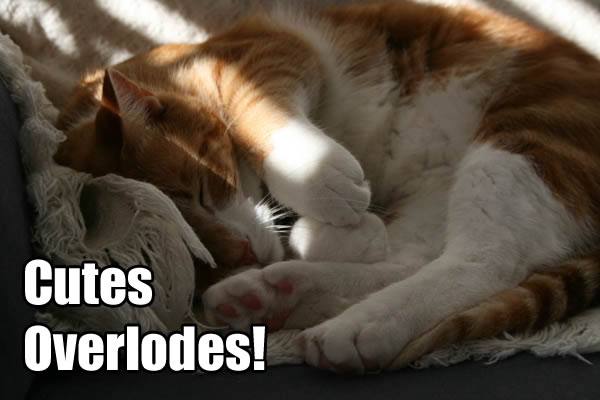 Cutes Overlodes!