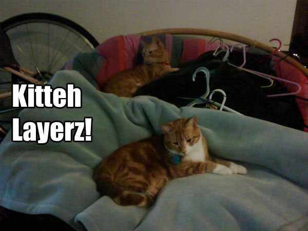 Kitteh Layerz!