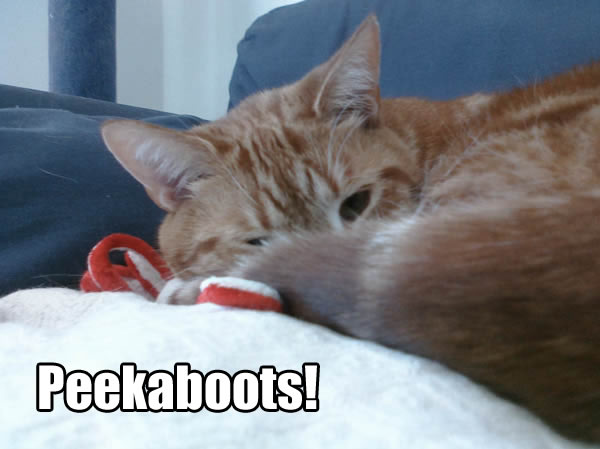 Peekaboots!