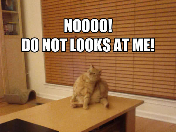 NOOOO!