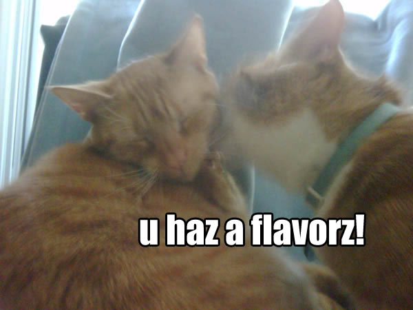 u haz a flavorz!