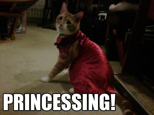 PRINCESSING!