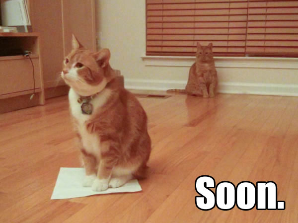 Soon.