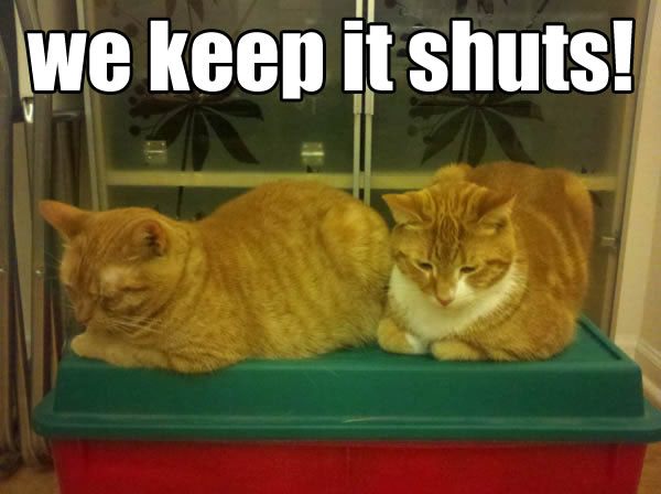 we keep it shuts!