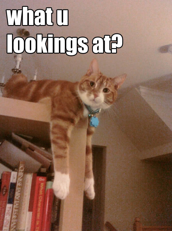 What u lookings at?