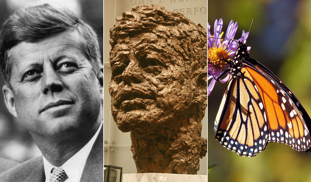 The Kennedy Chrysalis