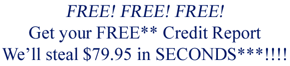 Free Credit Report! We'll steal $79.95