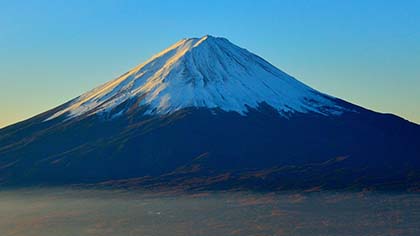 Forest ecology at the Generic Pointy Mountain